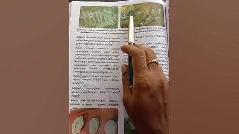 6th Social science. I Term. HISTORY LESSON 1. WHAT IS HISTORY?