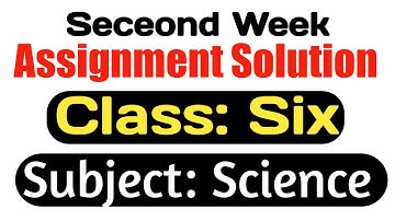 ASSIGNMENT SOLUTION CLASS SIX SCIENCE । এসাইনমেন্ট সমাধান ৬ষ্ঠ শ্রেণি বিষয়-বিজ্ঞান । ২য় সপ্তাহ