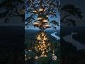 I built a luxury house in the world biggest hollow tree #usa
