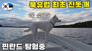 북유럽 1호 진돗개를 핀란드 호수에 띄웠더니?ㅋㅋ