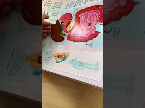 Libro El Cuerpo Humano Libro El Cuerpo Humano