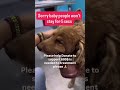 Urgent Help Needed for Malen💔Malen is suffering terribly from a severe illness#usa #uk#viral #sad