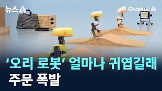 ‘오리 로봇’ 얼마나 귀엽길래…주문 폭발 / 채널A / 뉴스A