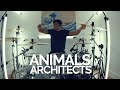 Animals - Architects - Drum Cover