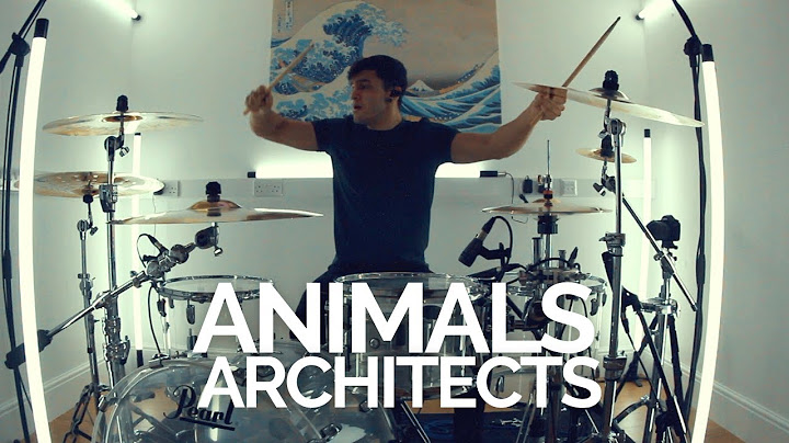 Animals Drums version - Drums performance video thumbnail