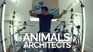 Animals - Architects - Drum Cover