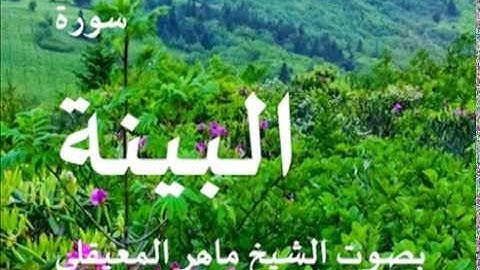 سورة البينة بصوت الشيخ / ماهر المعيقلي 98