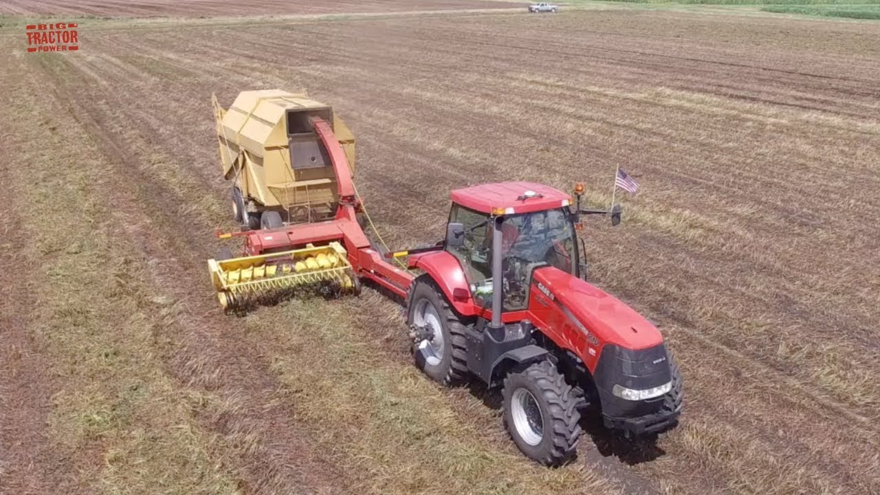 Harvesting Mint for Tooth Paste & More