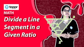 Equivalent Ratios | Comparing Quantities | Class 7 Maths