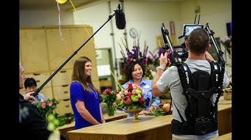 All in the Details: Behind the Scenes with Disney Meetings Part 2