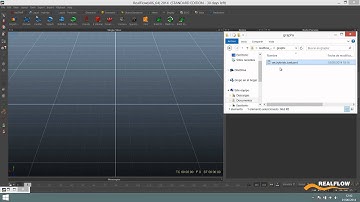 RealFlow 2014 Graphs