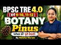 BPSC TRE 4.0 | BPSC TRE 4 Botany Classes | Pinus BPSC TRE 4 PGT Botany By Nelofar Mam