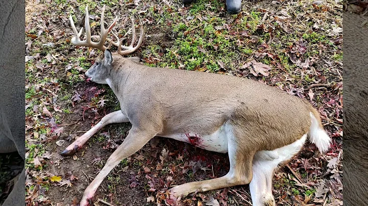 Southern Ohio booner