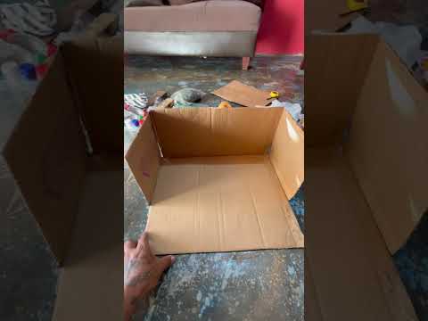 Maqueta de Ecosistema