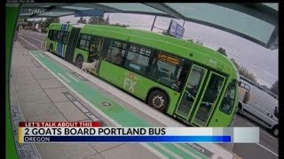 6 News This Morning The Headlines - August 17 2026