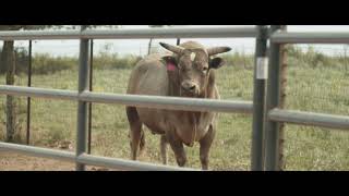 Total Feeds  - Dale Brisby - Total Legend - 15