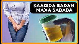 KAADIDA BADAN MAXA SABABA NOCYADA U KALA BAXDO CALAMADAH LAGU GARTO  POLYURIA DR MAHAMED LIBAAN