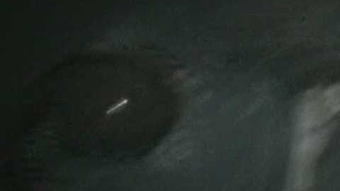 CRAZY! 270 switchup pretzel out!!!