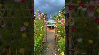 Beautiful house ❤️❤️🫡#music #trnding