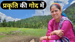 मरूड़ा का जीवन || Priyanka Yogi Tiwari || Pahadi Lifestyle vlog || Triyuginarayan||