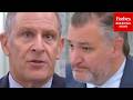 'What Percentage Of Those Delays?': Cruz Asks Telecom Assoc. President About Permitting Issues