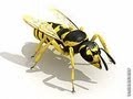 Как бороться с осами (пчелиный волк), How to combat wasps, Wasp control