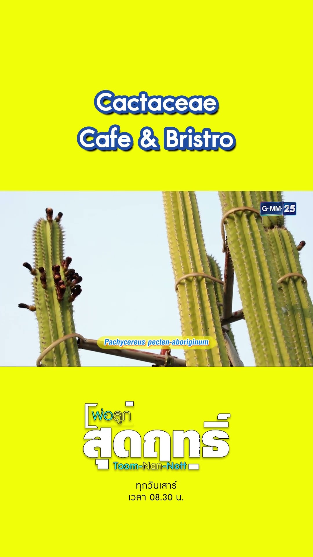 Cactaceae Cafe \u0026 Bristro | #Shorts #พ่อลูกสุดฤทธิ์ | GMM25