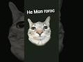 #eeecTb Billi meow meow #funny #video 🤣🤣🤣