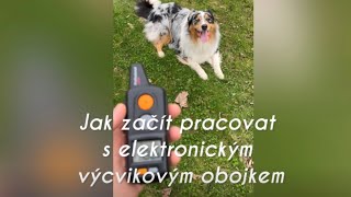 Jak začít pracovat s elektronickým obojkem / Přivolání psa pomocí elektronického obojku