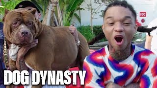 Swae Lee Battles Hulk In Miami | DOG DYNASTY