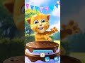 Talking Ginger39s Birthday the cutest Little kitten 