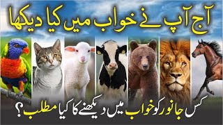 Khwab Mein Janwar Dekhna Kaisa | Khwabon Ki Tabeer | Dr. Fahad Artani Roshniwala | Roshni Centre