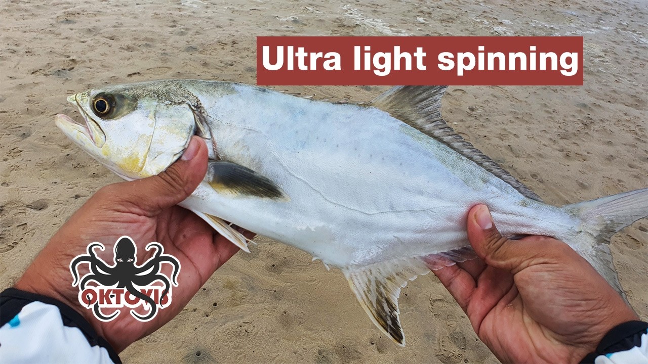 Light Tackle Estuary Fishing - Garrick & Flathead - Jeffreys Bay