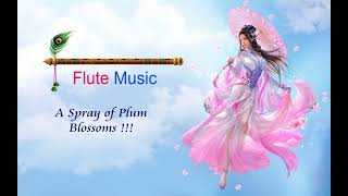 Flute Music | A Spray of plum Blossom !!!