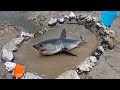 DIY FISH POND at BEACH!!!