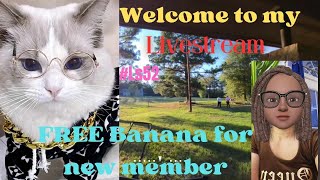 FREE banana for new Family member with singing and Fishing time