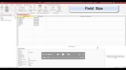 Field Size  and Required Field settings
