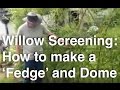 Willow screening how to willow sculpture a fedge
