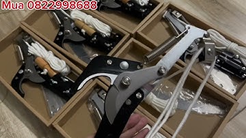 KÉO GIÚP CÁC BÁC CẮT CÀNH TRÊN CAO CỰ RỄ