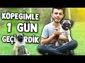 KÖPEĞİM MARAZ İLE ORMANDA 1 GÜN GEÇİRDİM !