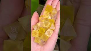 Discover Fluorite Crystal Products #crystalforstudents #fluoritecrystal Discover Fluorite Crystal Products #crystalforstudents #fluoritecrystal