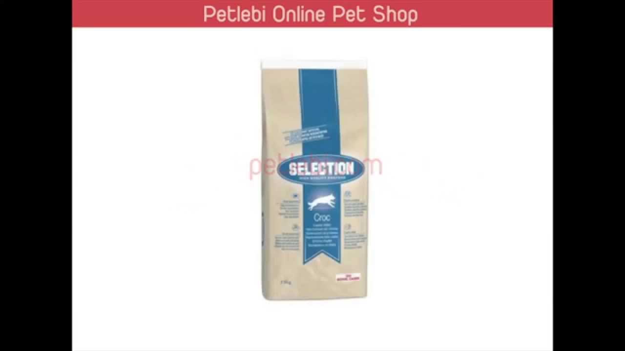selection royal canin