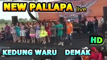 New Pallapa Full Album Special  2017 Live