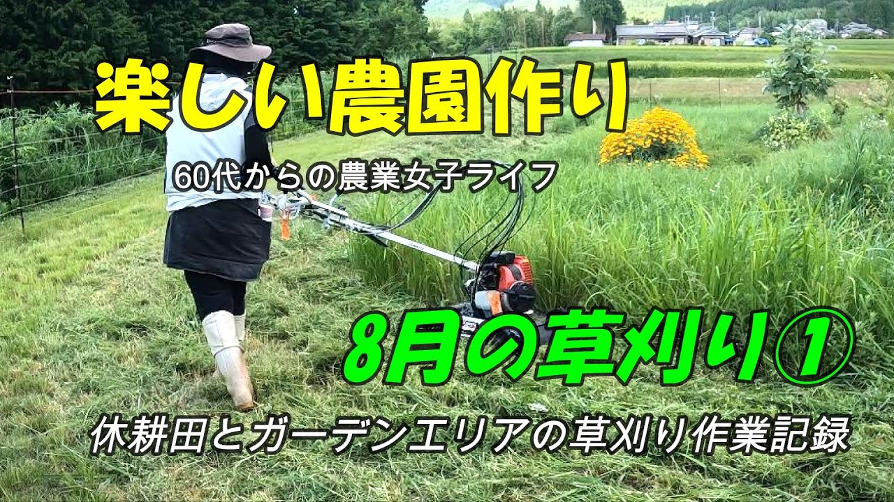 【8月の草刈り①】ハンマーナイフモア・スパイダーモア・刈払機で休耕田を整える