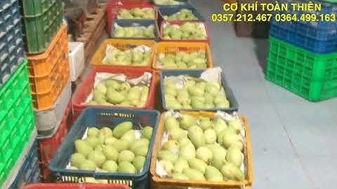 máy rửa khoai lang.củ cải.cà rốt....