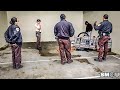 𝗖𝗟𝗘𝗔𝗥 𝗧𝗛𝗘 𝗖𝗢𝗨𝗥𝗧: Tense Standoff Disrupts Venice Beach Cleanup