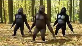 Download Lagu Denpasermoon MP3