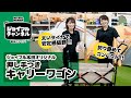 【ジョイフルチャンネル】ジョイフル本田オリジナル!ラクラク運べる押し手付きキャリーワゴン