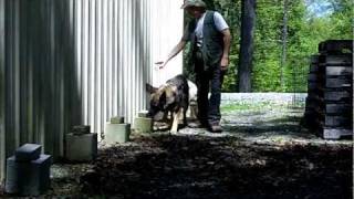 K-9 Lucas HRD Basics