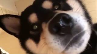 why you calling my phone